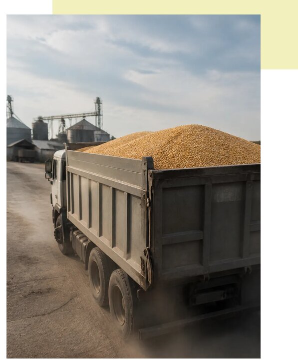 Перевозка сельхозпродукции навалом в Боровичи по цене от 3127 р. | Агросервис-Брв