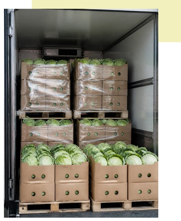 Перевозка белокочанной капусты в Боровичи по цене от 5212 р. | Агросервис-Брв